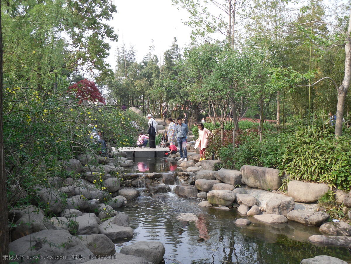 杨浦公园溪流 杨浦公园 溪流 自然护坡 公园一角 水系渗透 自然风景 石块 自然景观