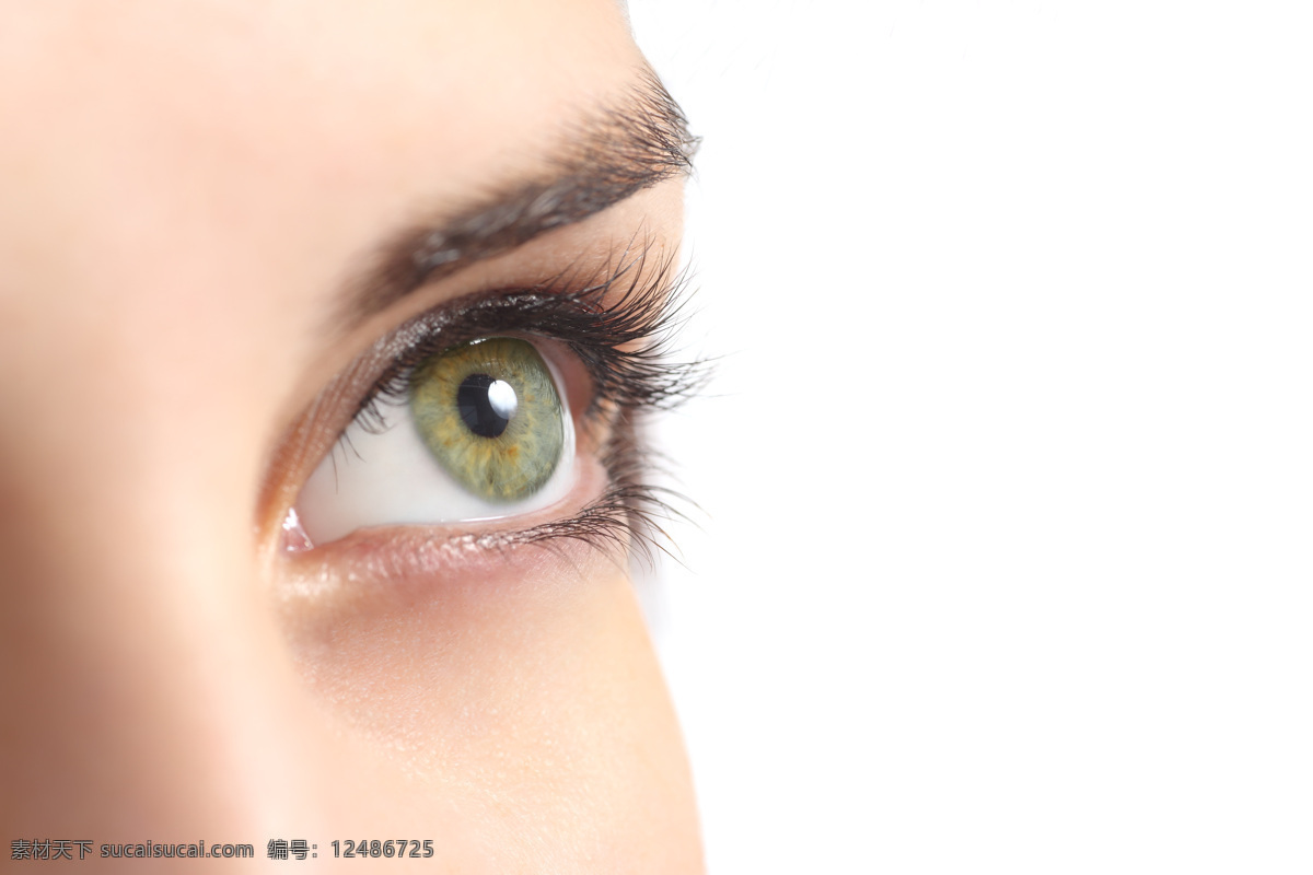 仰视 美女 眼睛 眼睛特写 瞳孔 眼珠 眼球 女性眼睛 人体器官图 人物图片