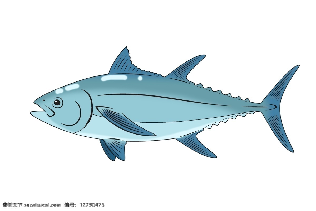 手绘 海鲜 蓝色 鱼 插画 手绘鱼 鱼插画 鱼插图 蓝色鱼插画 蓝色鱼 鱼类 美食 美食鱼
