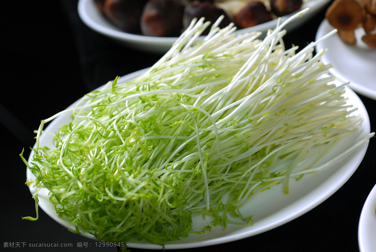 涮豆苗 涮菜 火锅 蔬菜 配菜 食材 涮火锅 芽苗菜 豌豆苗 烫菜 豌豆尖 火锅料 开胃菜 火锅菜品 火锅配菜 火锅涮菜 火锅食材 火锅菜 餐饮美食 传统美食