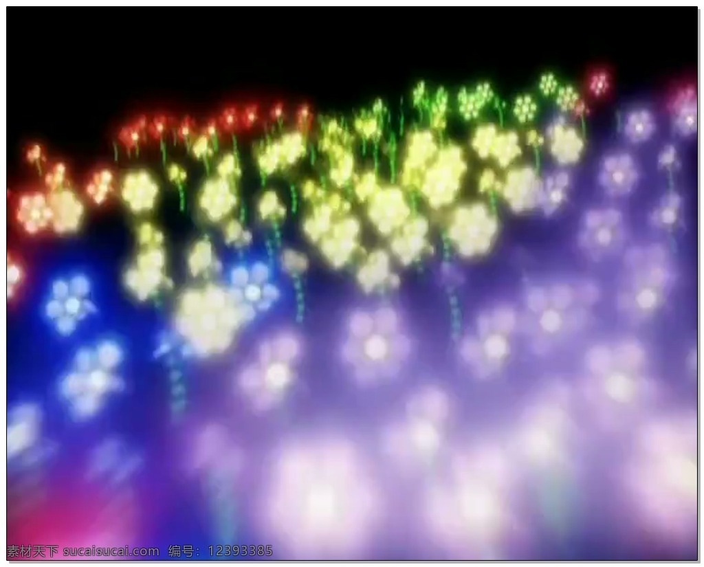 抒情 背景 视频 彩色 荧光 花朵 视频素材 动态视频素材