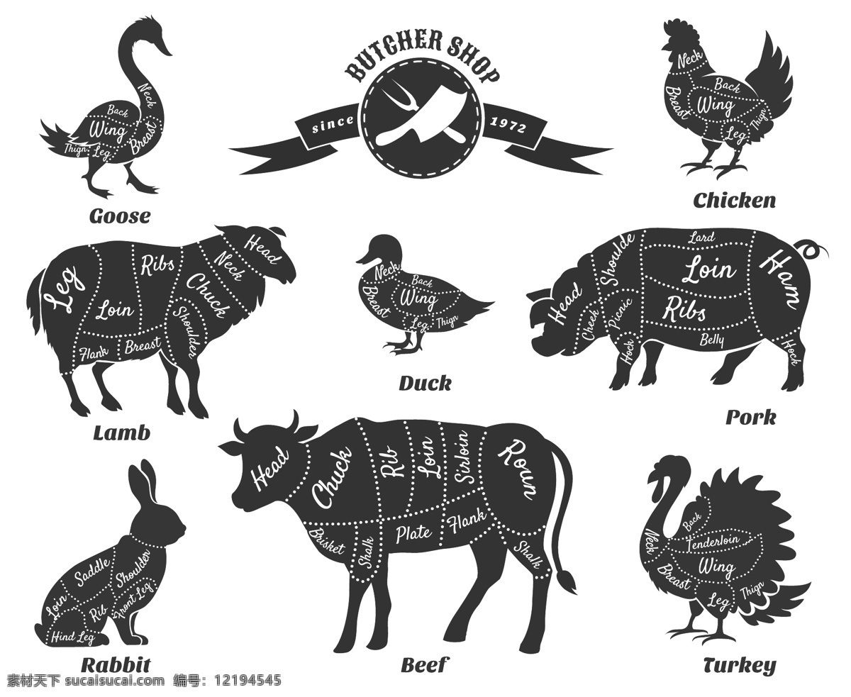 卡通 动物 肉 块 注释 矢量 插画 模板下载 猪肉结构图 猪肉部位 羊肉 鸭肉 鸡肉 牛肉 兔子肉 美食插画 其他生物 生物世界 矢量素材 eps格式