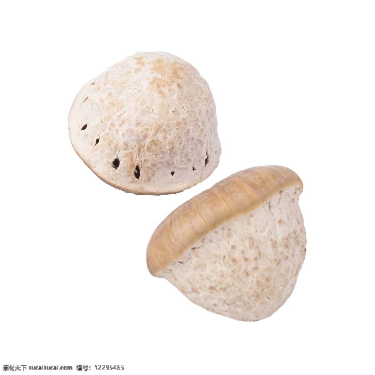 两个 蘑菇 免 抠 两个蘑菇 好吃的蘑菇 好吃的蔬菜 新鲜的蘑菇 新鲜 白蘑菇