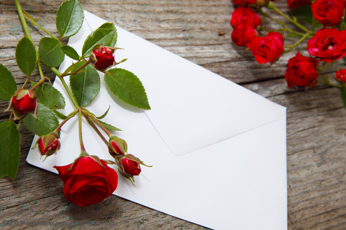 信封 上 玫瑰花 玫瑰 树叶 叶子 花朵 鲜花 情人节 节日素材 喜庆节日 底纹背景 节日庆典 生活百科