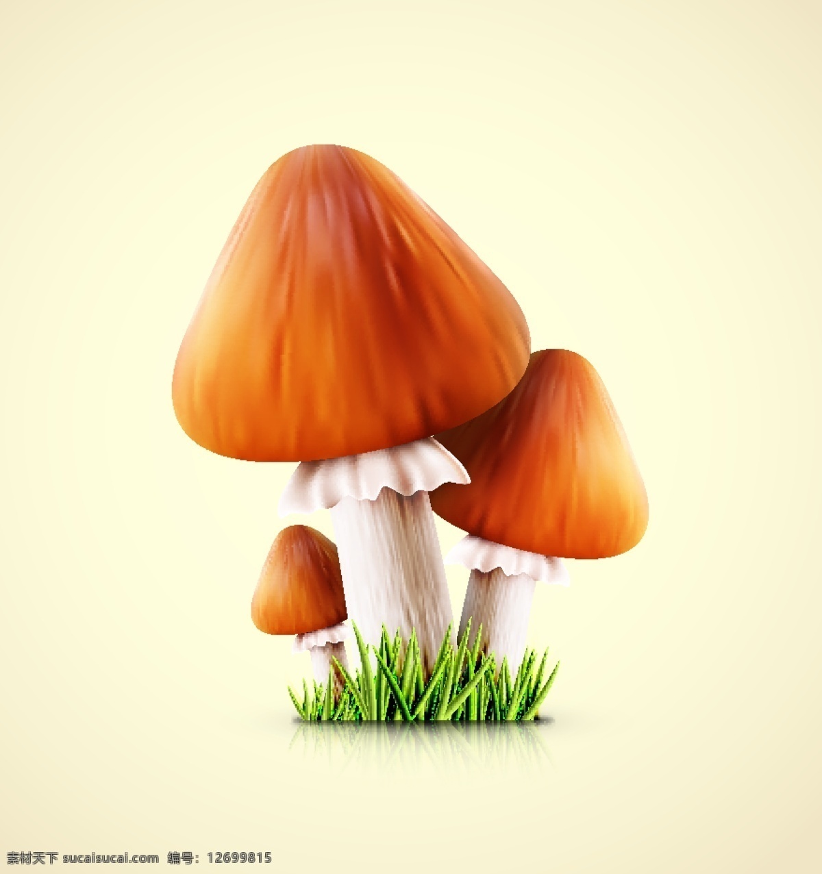 蘑菇 蔬菜 食用菌 香菇 手绘 美食 食材 鲜美 可口 新鲜 食物原料 餐饮美食 生物世界 矢量