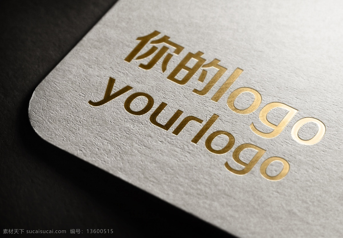uv 烫金 商标 样机 logo样机 分层