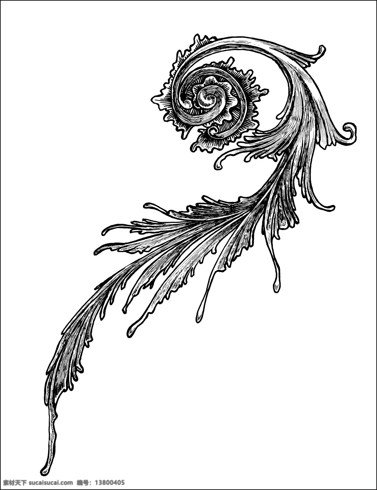抽象 花纹 创新 创意 时尚 白色