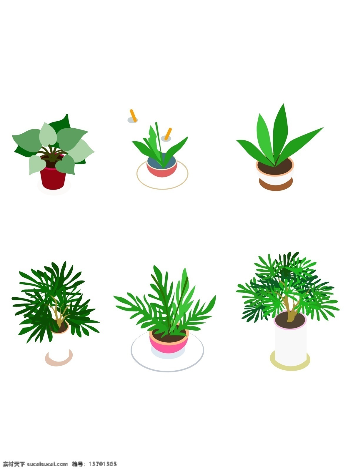 各式 盆栽 花盆 绿色植物 2.5d 手绘植物 插图 各式盆栽