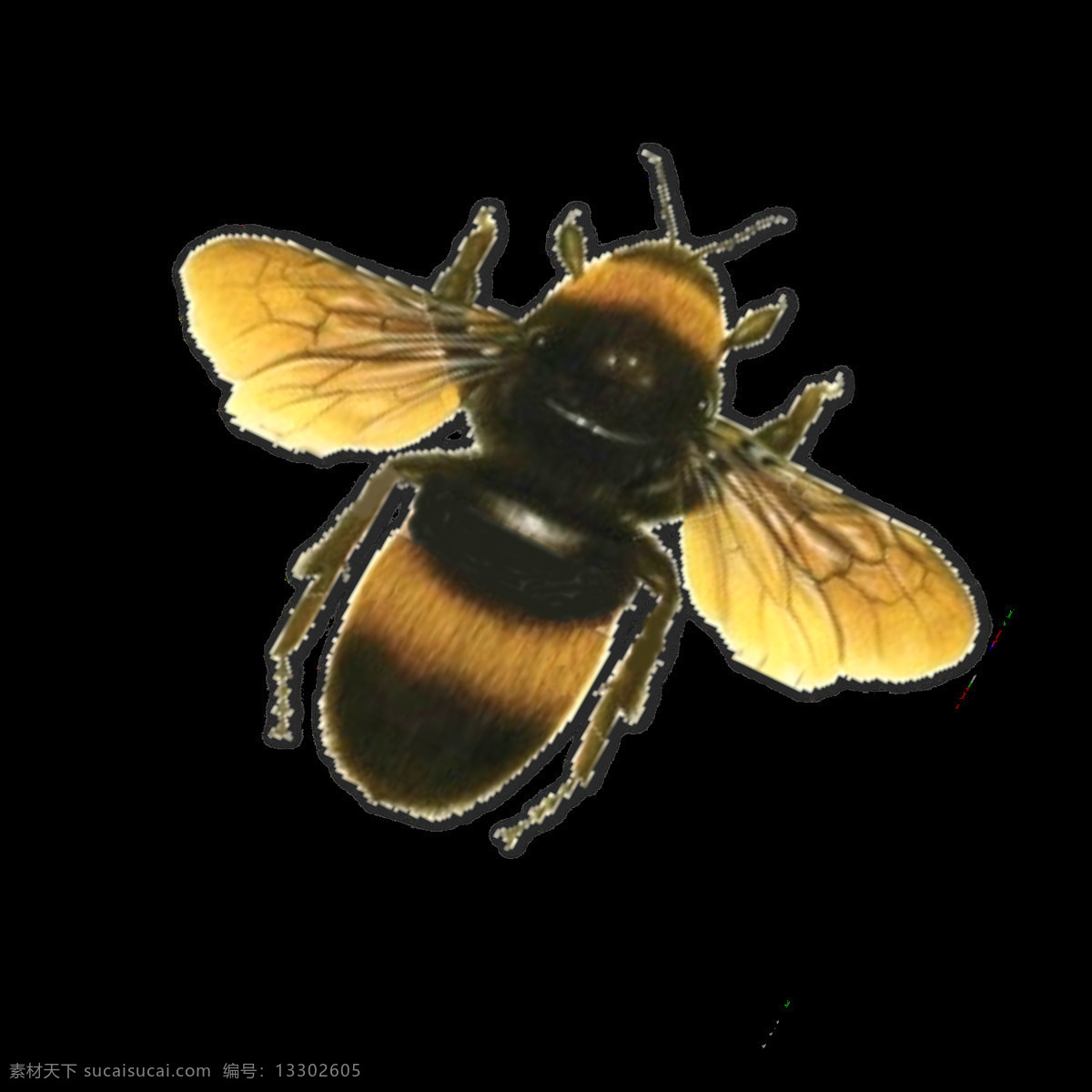 大 蜜蜂 免 抠 透明 图 层 大蜜蜂图片 大全 大图 大蜜蜂 金蜜蜂 小 卡通 蜜蜂照片 蜂蜜元素 蜜蜂元素 蜜蜂素材 蜜蜂海报素材 蜜蜂广告图片