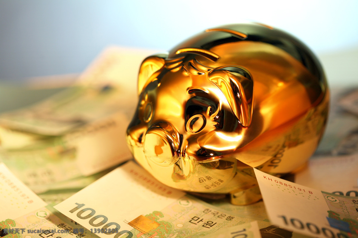 金色 肥猪 图 猪素材 猪猪 金色肥猪图 金融内素材 商务金融