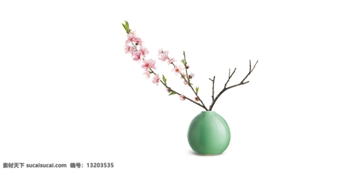 瓶 绿色 盆栽 装饰 花枝 绿植 花瓶