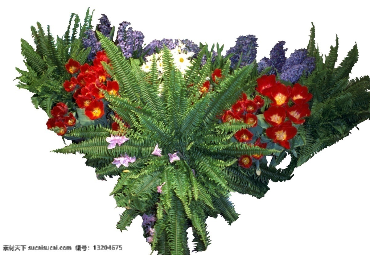 三角形 绿化 植物 源文件 红色 绿叶 鲜花 装饰图案 紫色