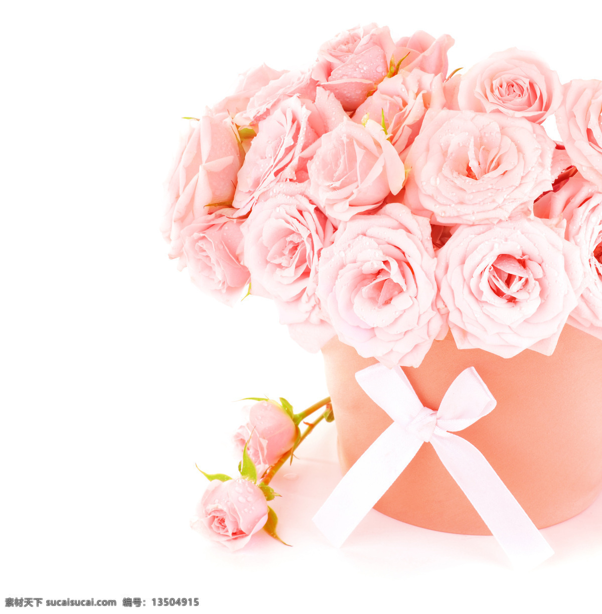 美丽鲜花 花朵 花卉 玫瑰花 粉红玫瑰 情人节 温馨 浪漫 花草树木 生物世界 白色