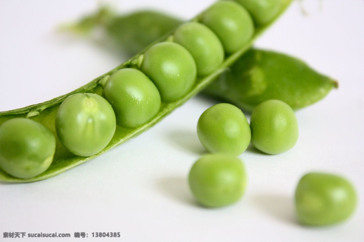 豌豆 豆 青豆 绿色 蔬菜 食物 食材 生物世界