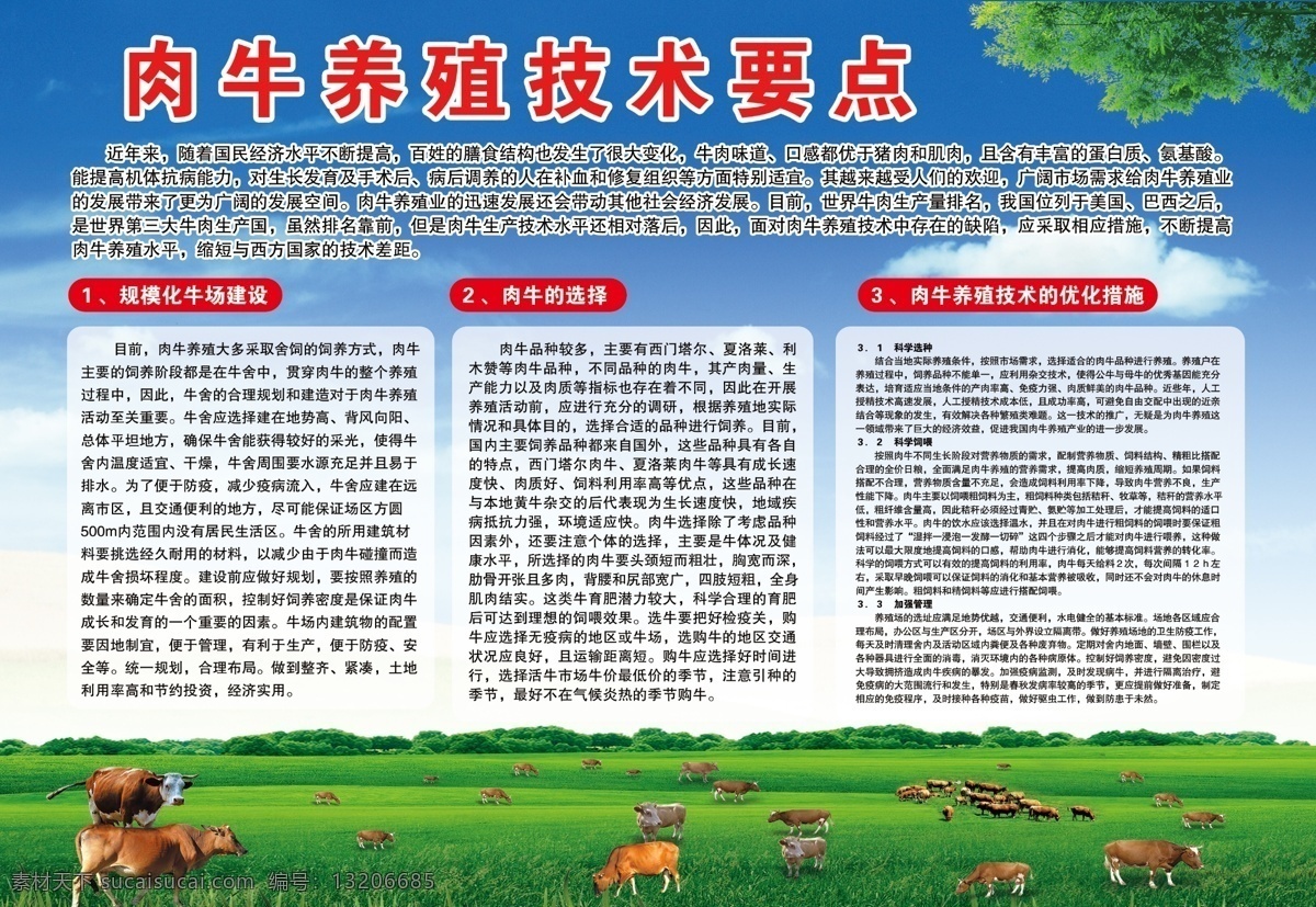 肉牛 养殖技术 要点 肉牛养殖 生态牧场 生态养殖 养殖广告 农场广告 牧场海报