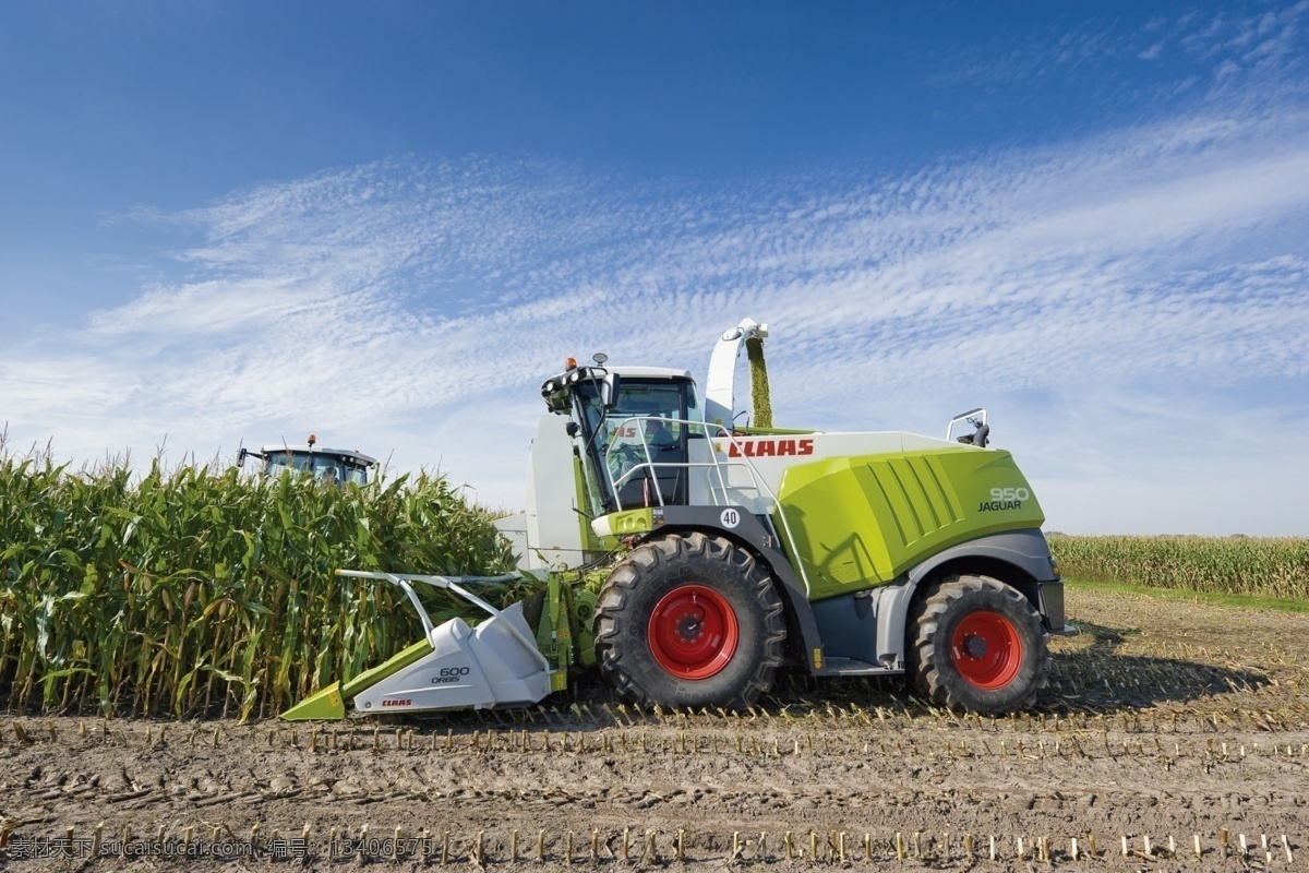 收割玉米 玉米 两行玉米机 红土地 收割机 蓝天 都市风光 农业生产 现代科技