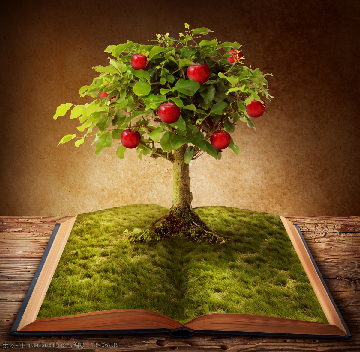 书本 苹果树 书籍 翻开的书 学习 知识 希望 树木 大树 草地 苹果 果树 收获 花草树木 生物世界