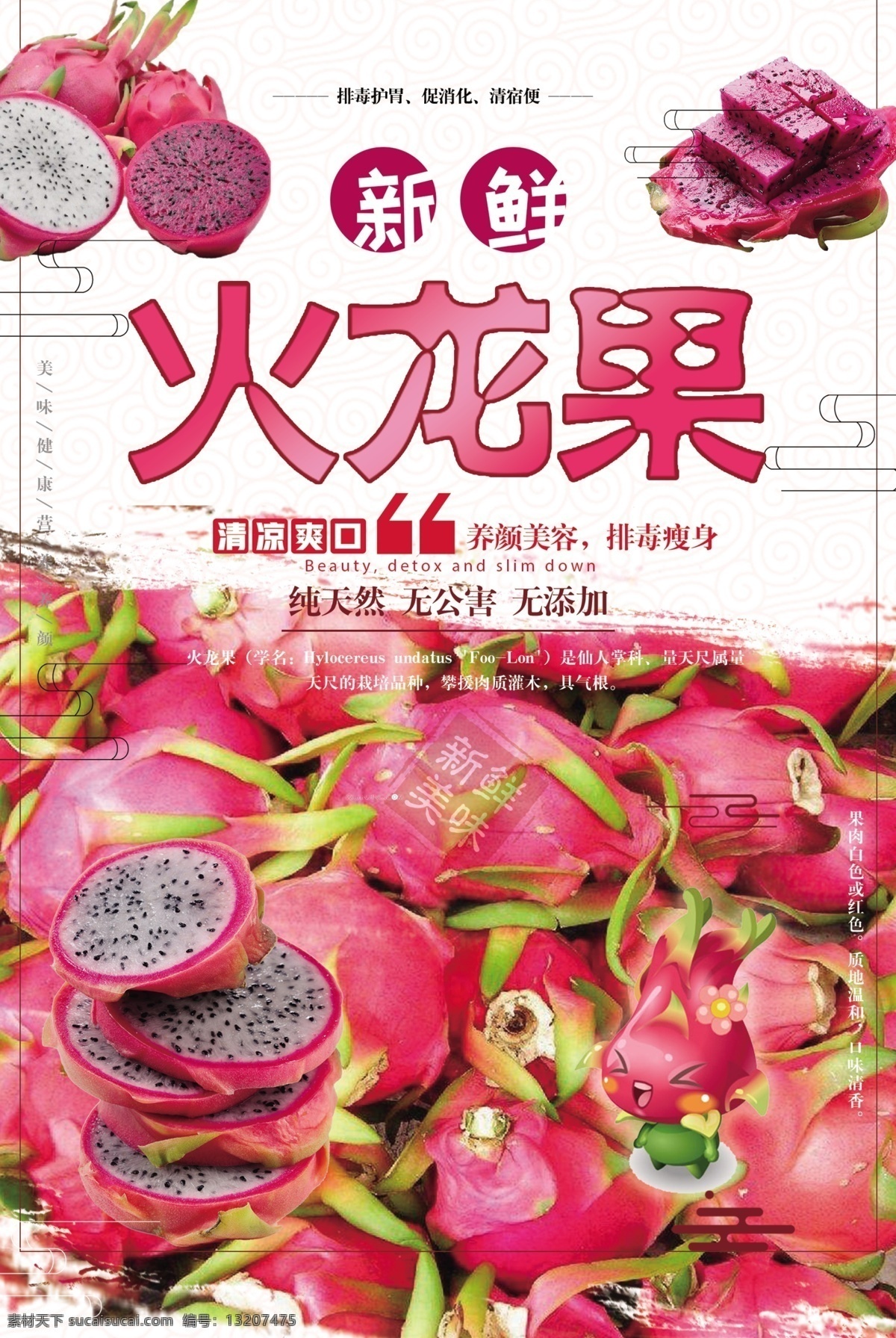 火龙果功效 卡通火龙果 火龙果切片 分层