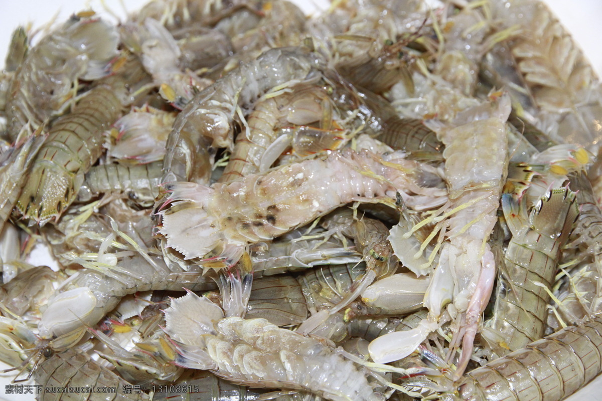 虾爬子 皮皮虾 海鲜 美食 食物原料 餐饮美食