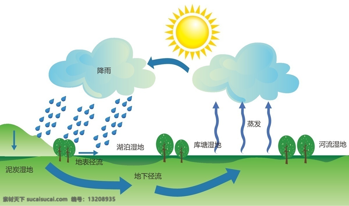 水循环 水蒸气 自然 雨 循环系统 绿色 插画 平面