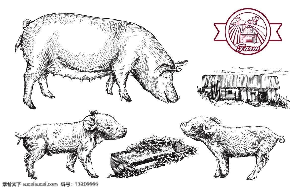 素描猪 素描农社 手绘猪 小猪 猪 简笔画猪 手绘农社 猪圈 手绘猪圈