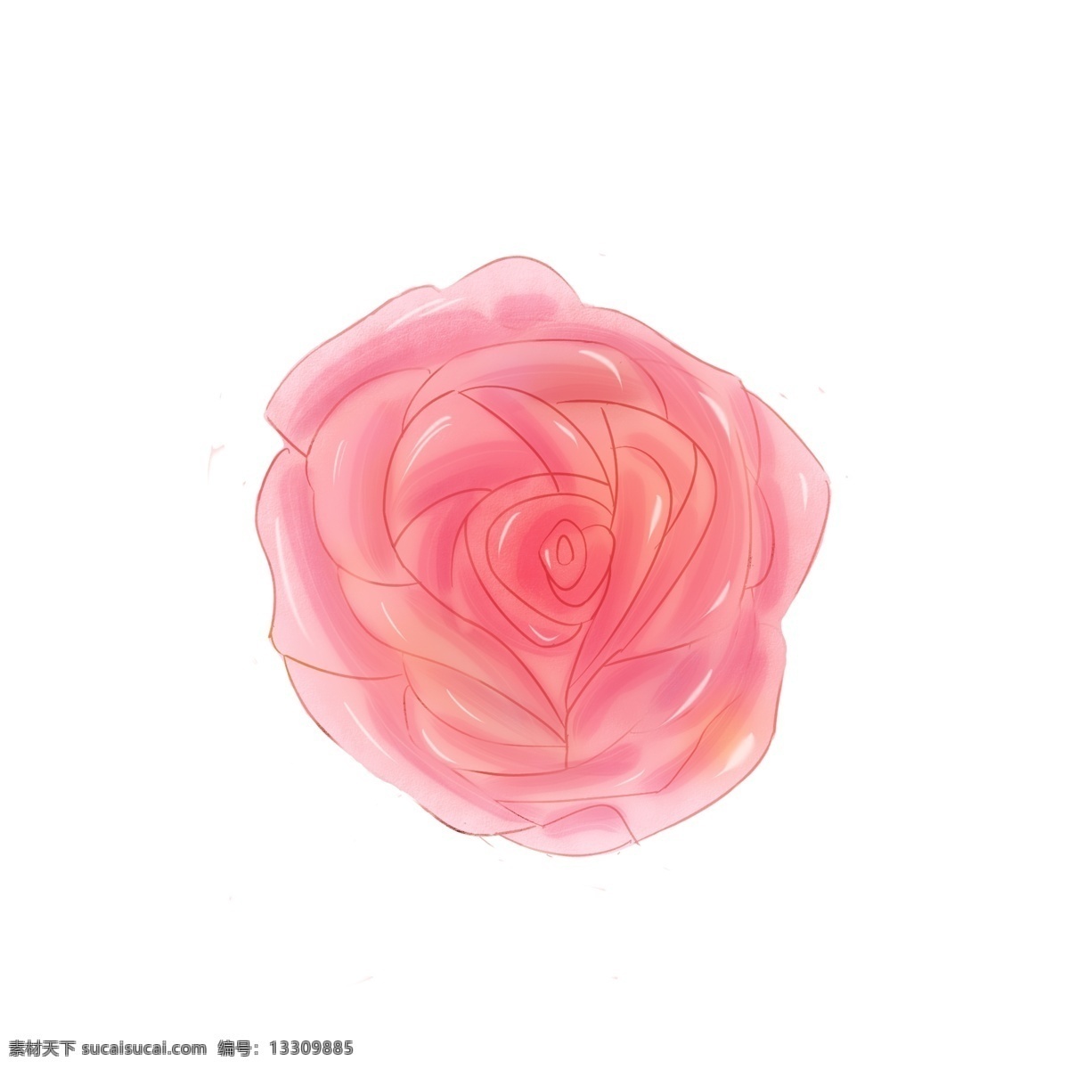 手绘 小 清新 红玫瑰 粉 玫瑰花 元素 小清新 彩色 花卉 花朵 粉玫瑰 花 原创