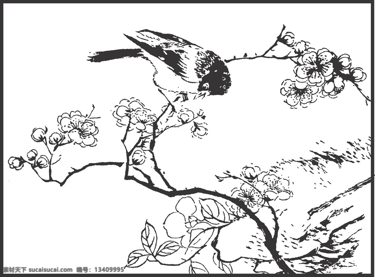 植物 花卉 观赏 鸟儿 装饰 线条 矢量 插画 白描 花鸟白描图 生物世界 鸟类