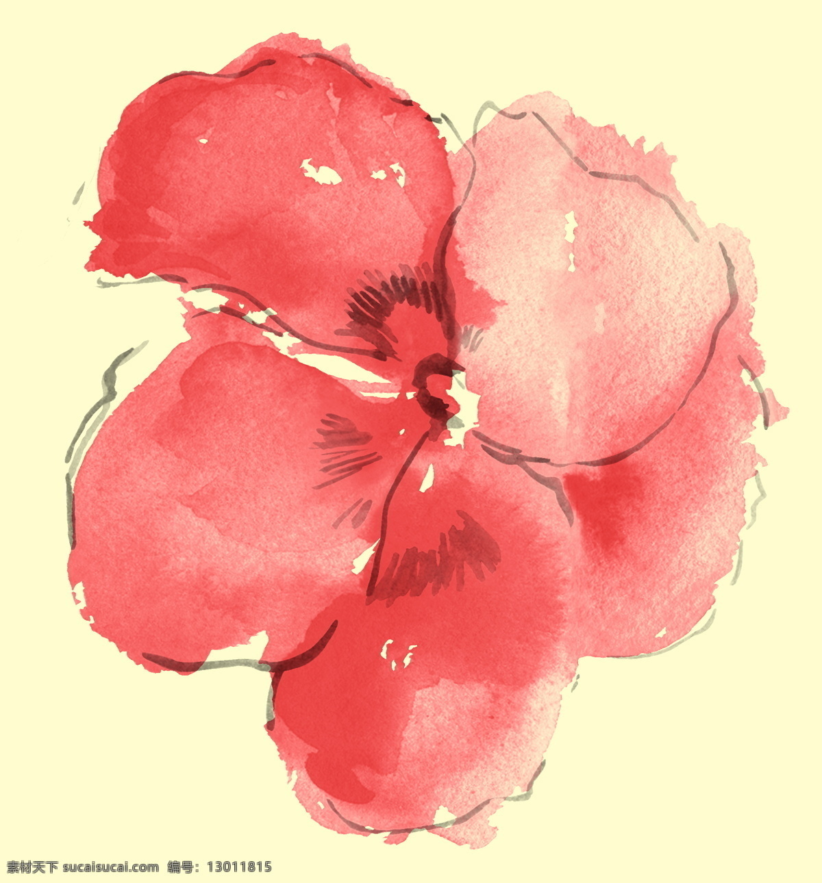花草插图 花纹 图案 花纹图案 设计素材 花草图案 植物插图 书画美术 白色
