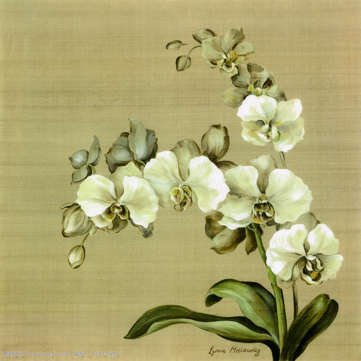 铃兰壁画 植物 花朵 铃兰 壁画 白色