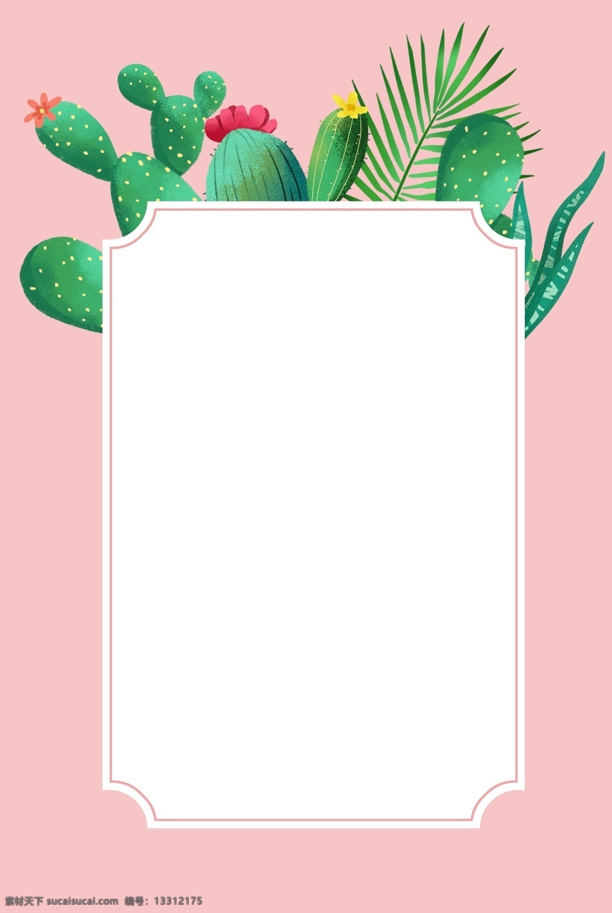 夏季 仙人掌 植物 边框 热带植物 绿色 沙漠植物 夏天 花朵 小清新边框 树叶 叶子 粉色 文本框