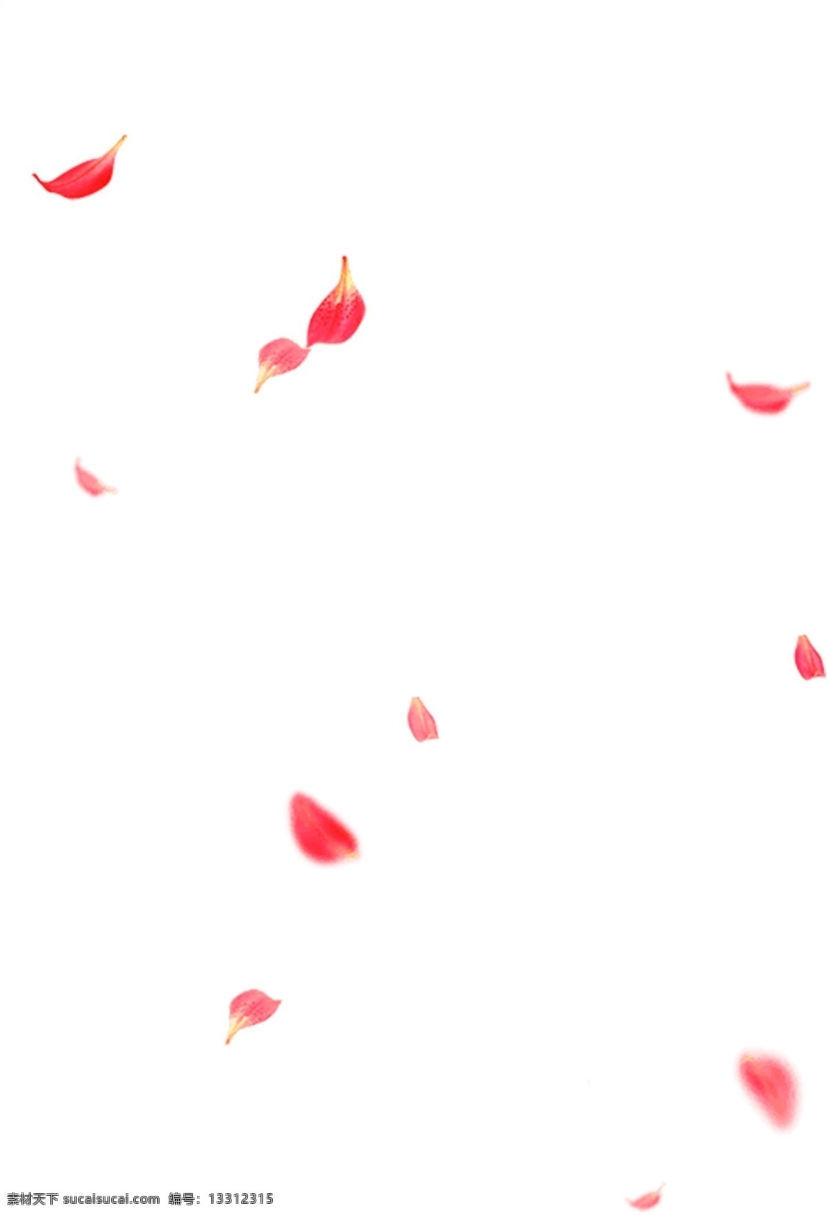 花瓣 免 扣 红色 飘落 petal