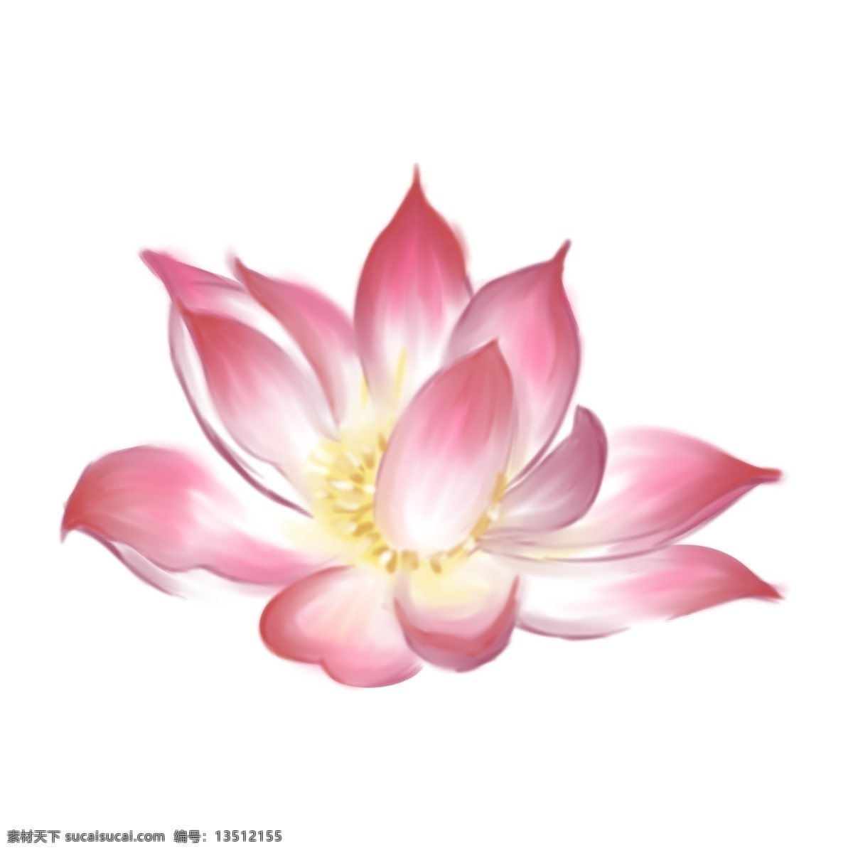 荷花 花卉 手绘 透明 淡粉色 鲜花 装饰图案 免扣素材 透明素材
