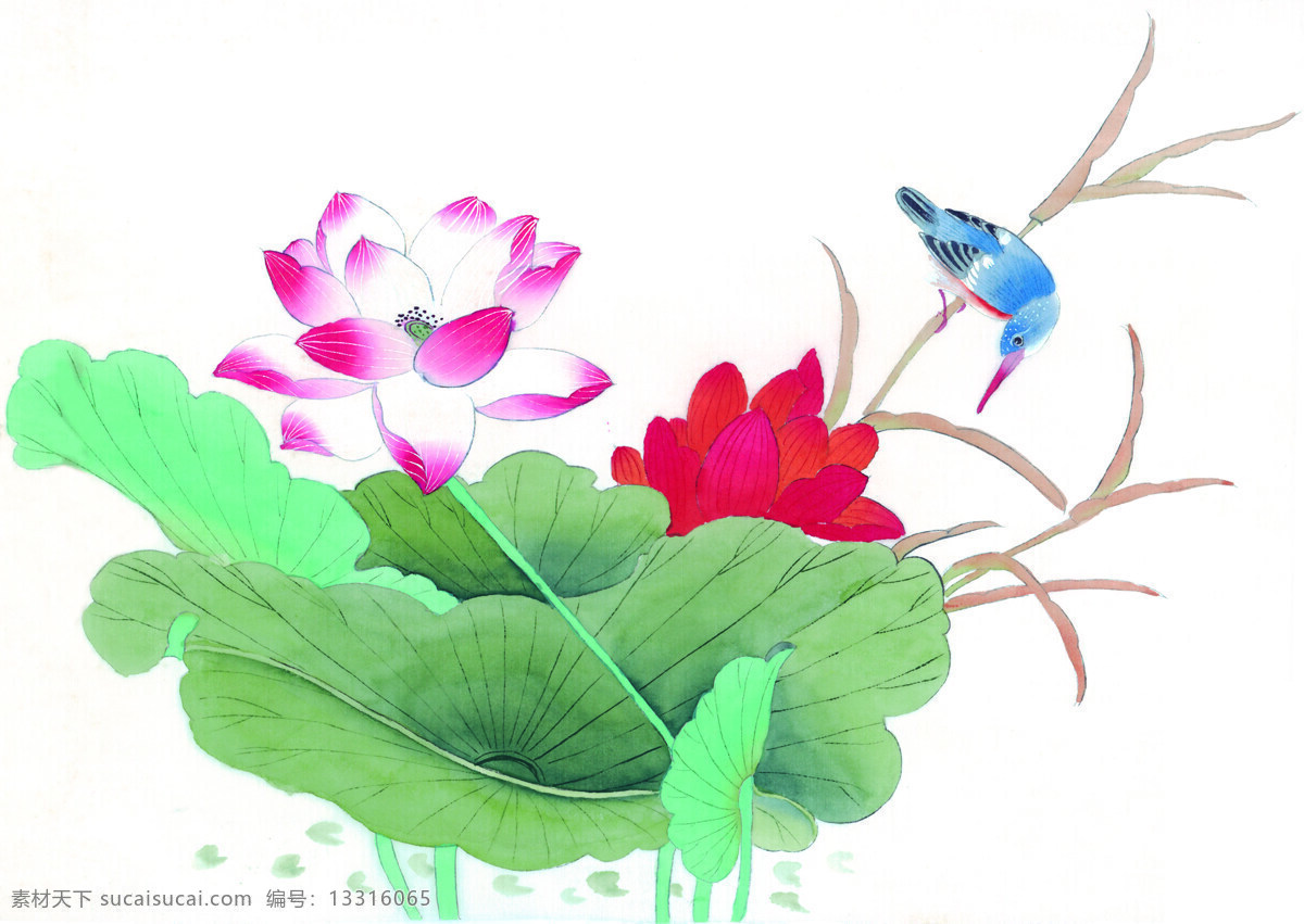 中国 风 花 牡丹 芍药 桃花 喜鹊 小鸟 中国风 中华艺术绘画 文化艺术