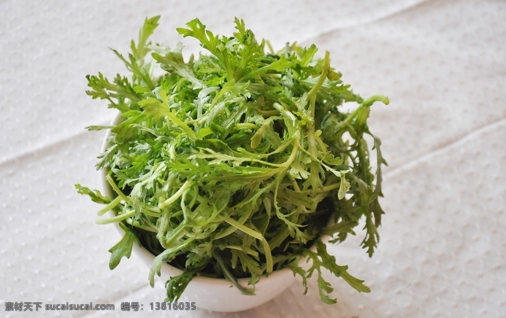 火锅涮菜 桐蒿 火锅材料 食物原料 餐饮美食