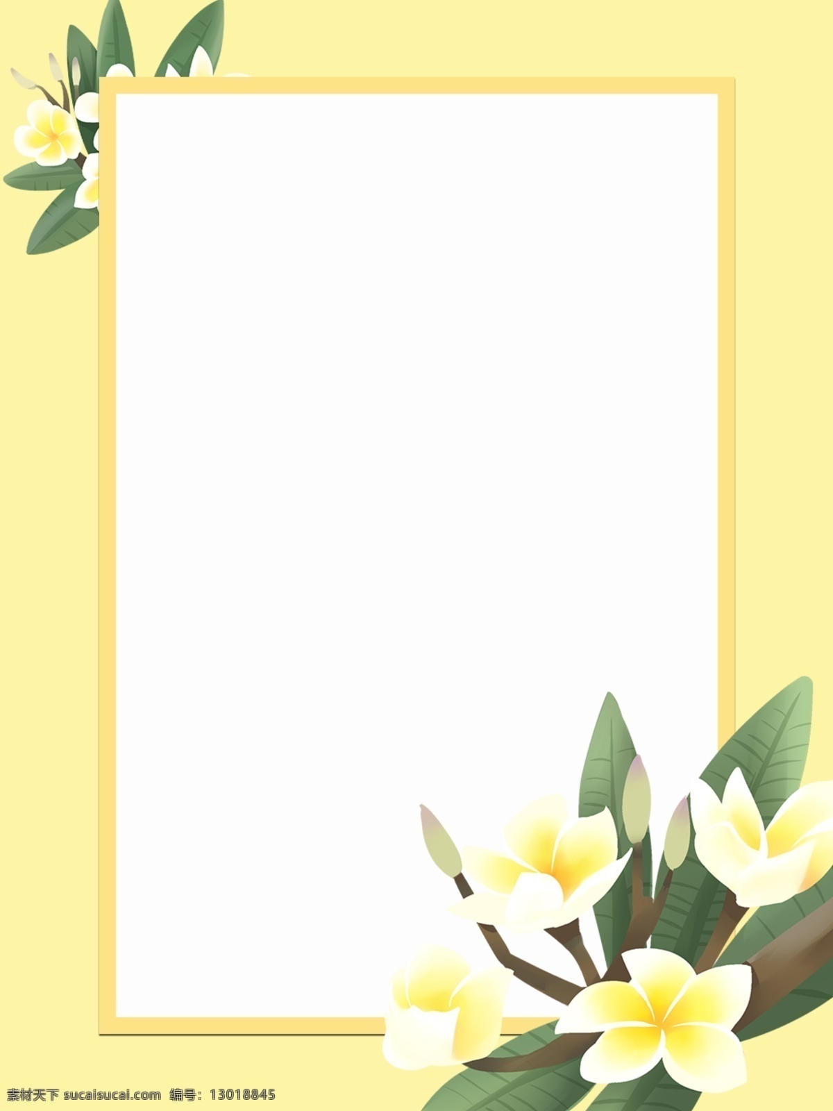 小 清新 鸡蛋花 框 背景 植物 小清新 简约 边框 花朵 鲜花绿植 花框