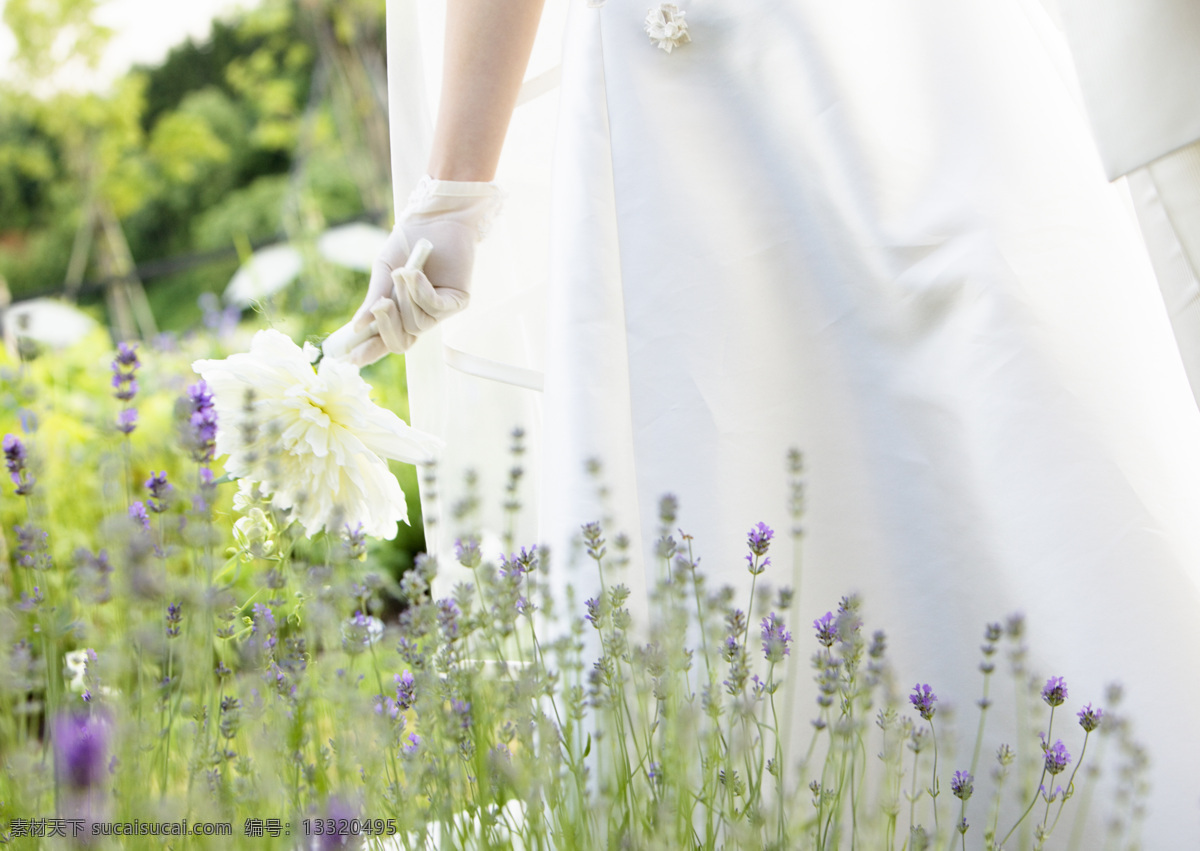 爱 爱情 白色 春天 高清图片 花朵 婚礼 婚礼素材 婚纱 婚纱摄影 色彩斑斓 新娘 新郎 甜蜜 婚姻 礼服 浪漫 结婚 绿色 婚纱照 情侣 幸福 陶醉 花园婚礼 现代经典 绿色婚礼 和谐绿意 情人节 节日素材 情人节七夕