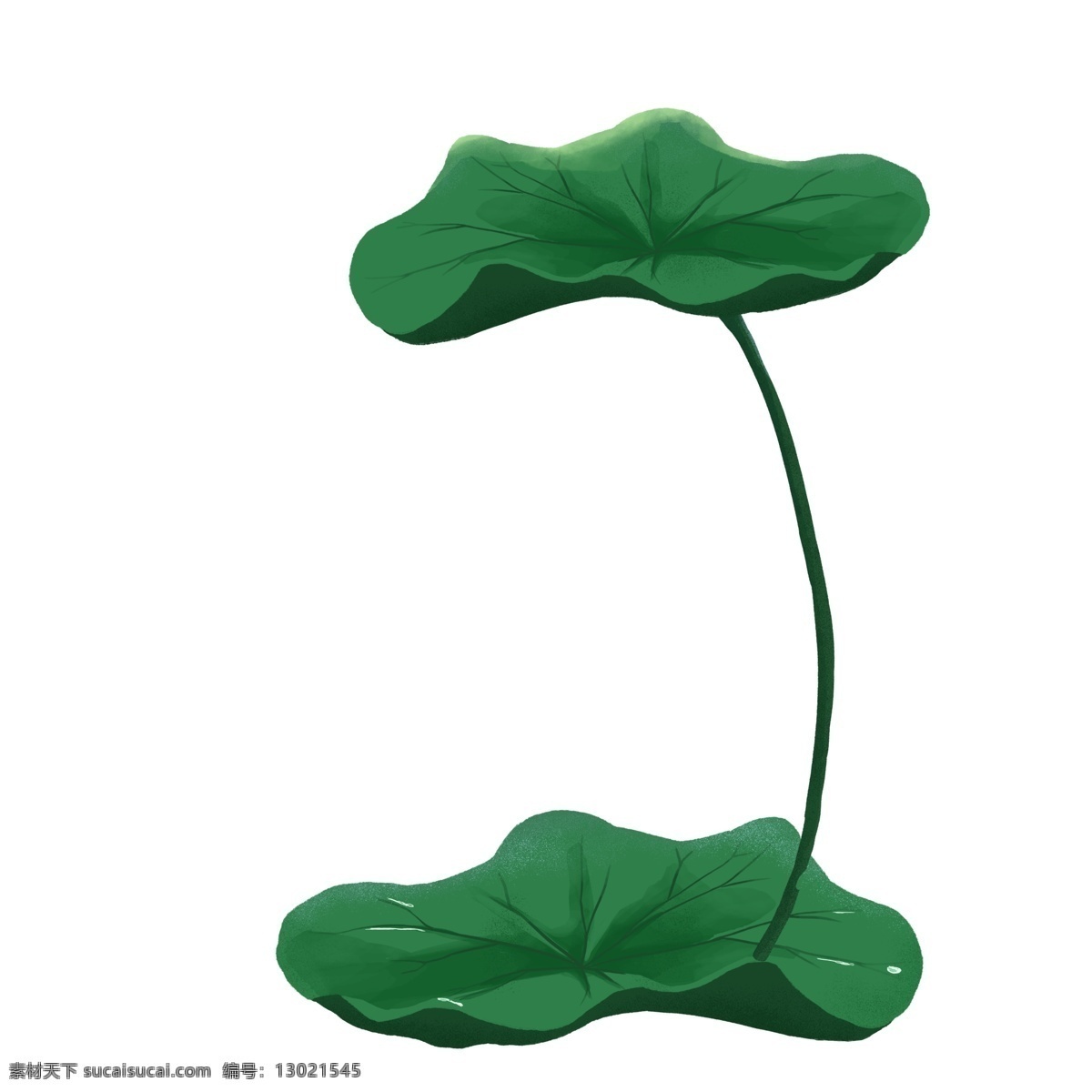绿色 清新 荷叶 植物 创意 夏季 吃糖