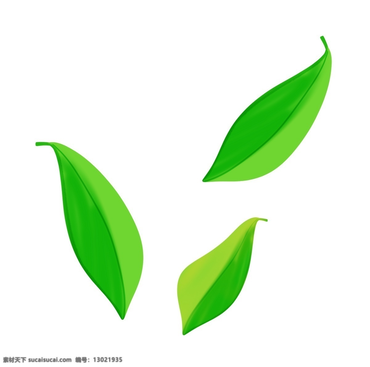 飘扬 绿色 树叶 插画 飘扬的树叶 卡通植物插画 植物 精美的绿叶 叶子 创意植物插画 绿叶
