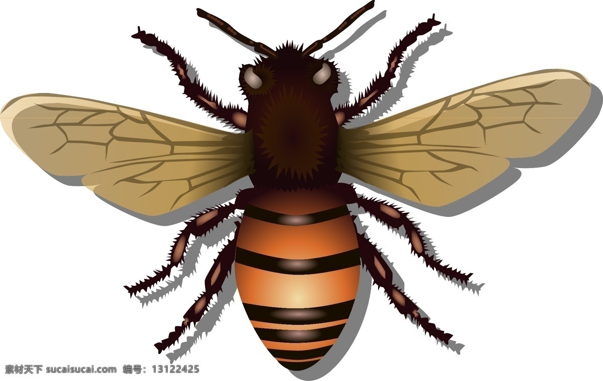 矢量蜜蜂素材 蜜蜂 昆虫 飞 蜂蜜 自然 蜂巢 养蜂业 养蜂人 生物世界 野生动物