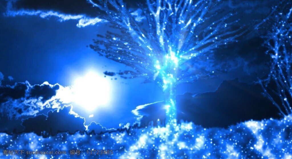 唯美 许愿 树 梦幻 粒子 视频 梦幻视频素材 粒子视频素材 mp4 蓝色