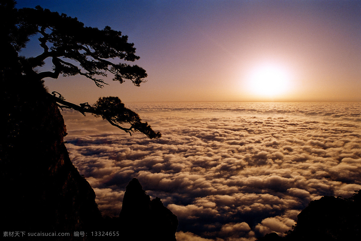 庐山 迎客松 云海 太阳 风景 风光 名胜 自然 美景 日出 江西 云 旅游 松树 自然景观 风景名胜 庐山美景 摄影图库 庐山风光