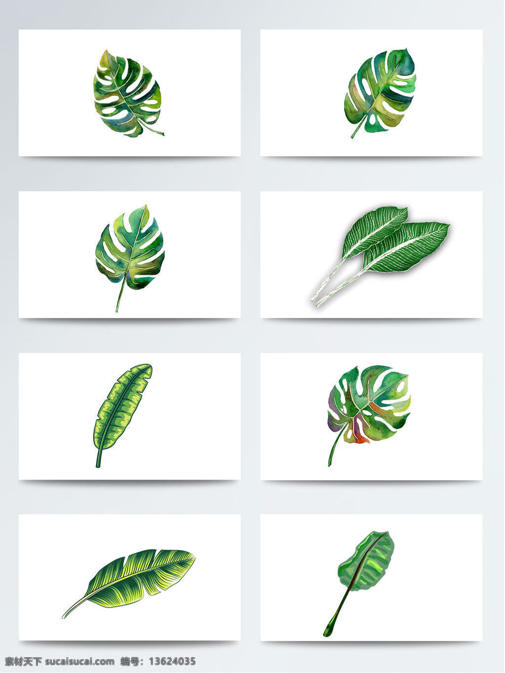 植物 芭蕉叶 卡通 手绘 元素 png元素 芭蕉 逼真 绿色 森系 手绘叶片 树叶 水彩叶片 叶子