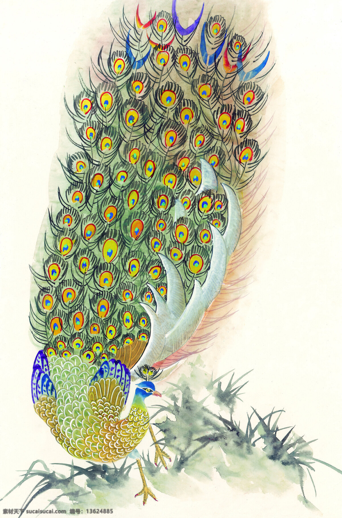 孔雀免费下载 白描 工笔画 绘画 孔雀开屏 美术 泼墨 人物 水墨 文化艺术 写意 中国画 中国画艺术 装饰素材 室内装饰用图