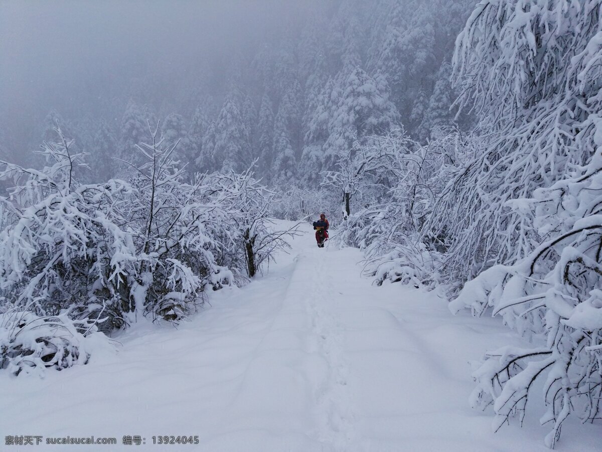 雪景 雪 登山 雪山 西岭雪山 自然 自然景观 自然风景