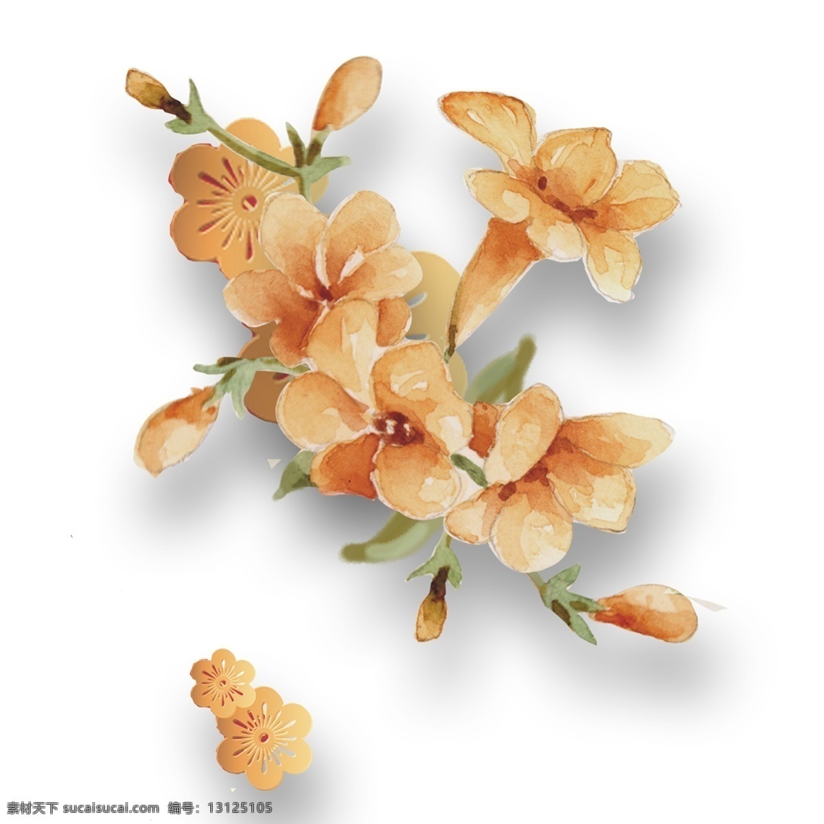手绘 水彩 花卉 卡通 透明 免 扣 花朵 透明素材 卡通素材
