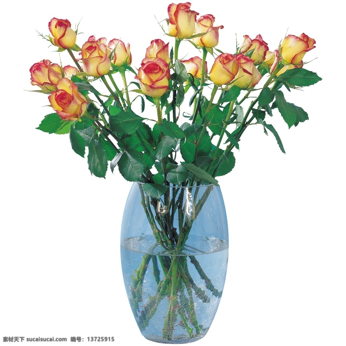 花瓶 花束 玫瑰 鲜花 瓶子 玻璃瓶 花 装饰花 花卉 粉玫瑰 花朵组合 花艺 盛开 花草 生物世界 分层 源文件