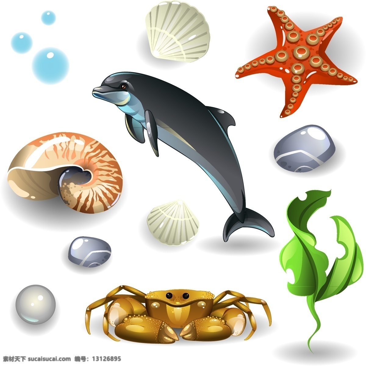 手绘 大海 生物 元素 清晰 海螺 螃蟹 水草 珍珠 海豚 海星 矢量