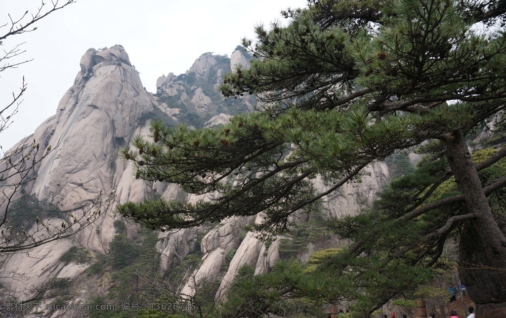 安徽黄山 黄山 黄山风景 安徽风景 安徽风光 黄山景观 黄山风景区 树木 高山 群山 安徽 安微黄山宏村 旅游摄影 自然风景