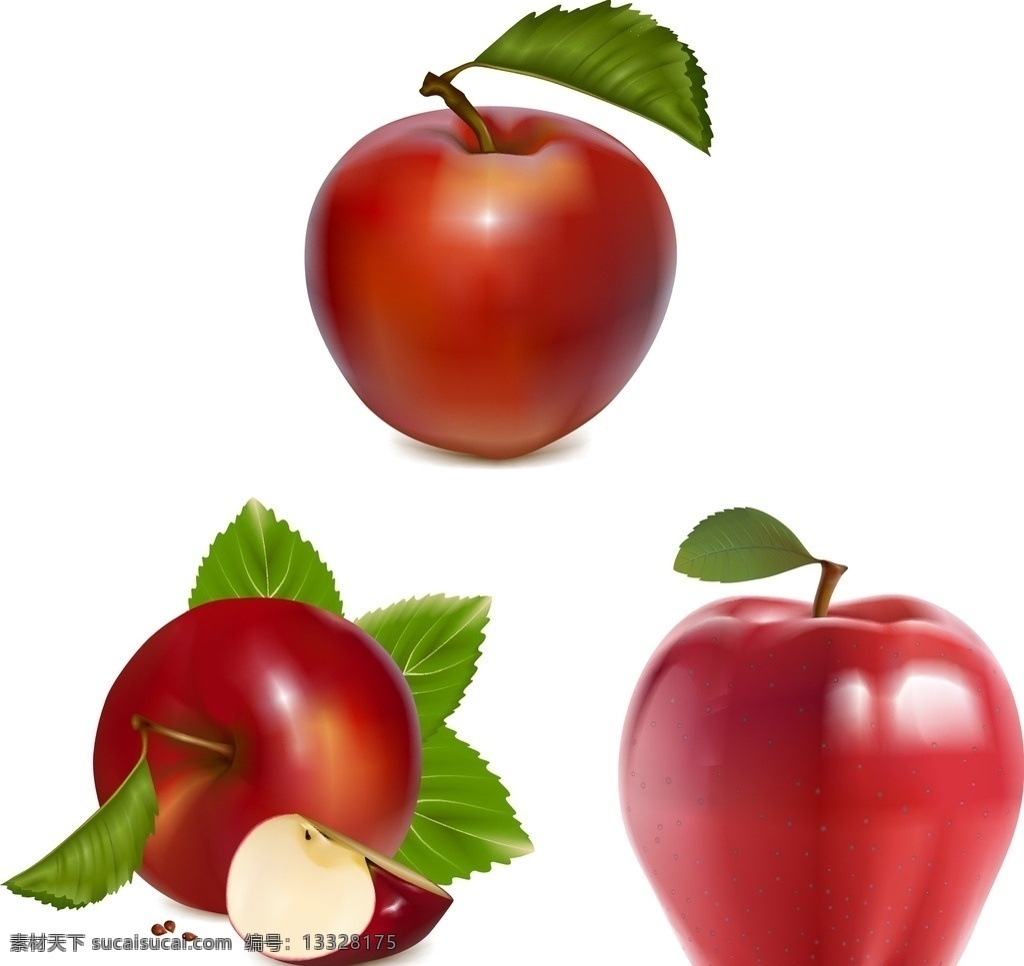 矢量素材 水果 手绘 水果大全 新鲜水果素材 矢量水果素材 矢量 水果素材 新鲜水果 矢量水果 苹果 红苹果 矢量红苹果 新鲜苹果 红蛇果 苹果素材 苹果大全 切开的苹果