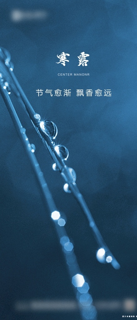 寒露图片 二十四节气 寒露 蓝色 露水 水滴 分层